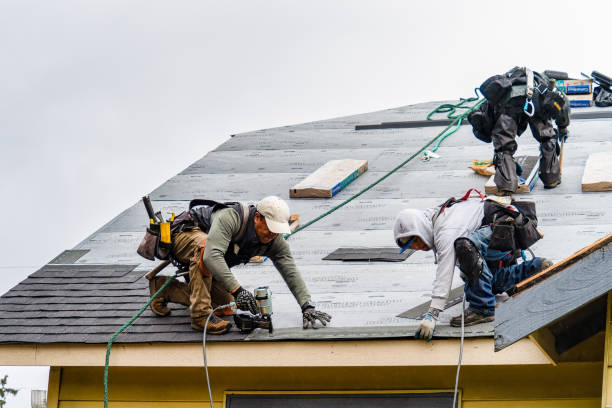 Professional Gutter Installation technician working in Clifford, ND